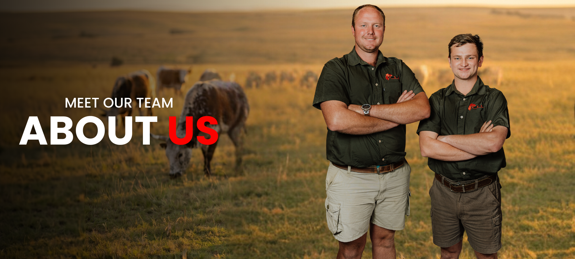 About Agri Solsec — solar-powered farm security from Schweizer Reneke