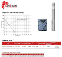 Specifications and performance curve – 4AGSC9.5-220-300-3000-A/D