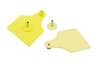 Ear Tags | 6×7.5cm – Livestock ID Tags (20 Pack) | Agri Solsec - Image 7
